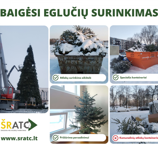 Šiaulių mieste nupuošta viena gražiausių šiųmetinių eglių Lietuvoje simbolizuoja švenčių pabaigą